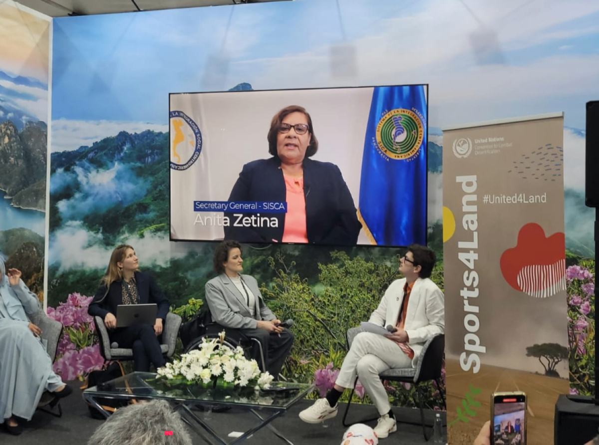 Apoyamos la promoción de acciones en favor de la inclusión de las personas con discapacidad en la COP16.