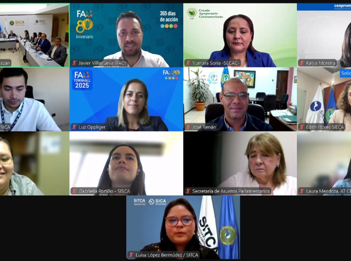 Formamos parte del proceso de consultas para la elaboración de la Política de Integración de la Pesca y la Acuicultura.