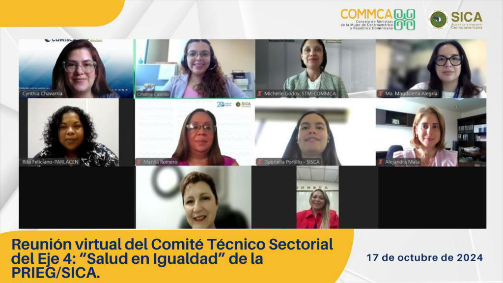 Apoyamos a la Secretaría Técnica del COMMCA como parte del Comité Técnico Sectorial del eje 4 de la PRIEG-SICA.